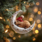Moon Capybara Christmas Ornament