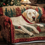 Loyal Comfort Sofa Cover
