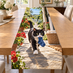 A tuxedo cat carries a plain blue sock across a sunlit tiled porch, with a wicker laundry basket, geraniums and distant garden gate.